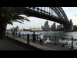 Sydney Harbour Bridge Joggers 3132